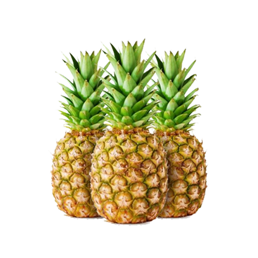 Fruits